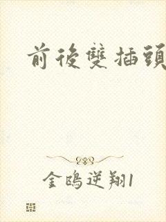 前后双插头互攻