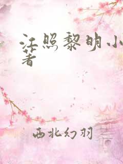 江照黎明小说原著