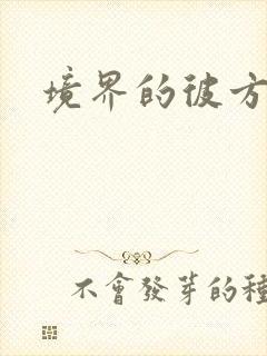 境界的彼方小说