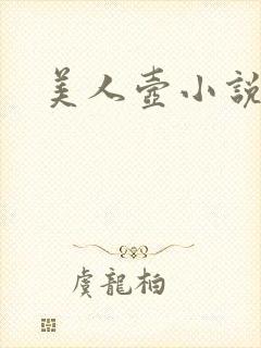 美人壶小说