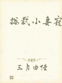 总裁小妻宠上天