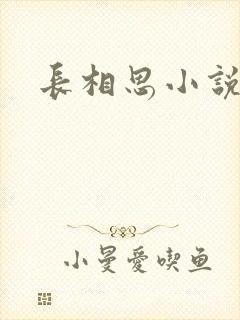 长相思小说原著