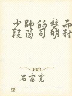 少帅的双面宠妻段茵司明封免费