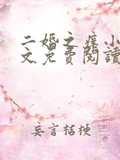 二婚之痒小说全文免费阅读