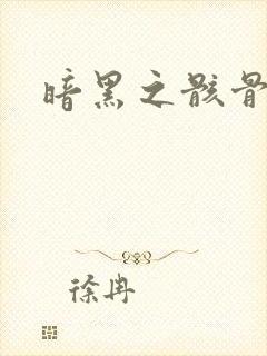 暗黑之骸骨君王