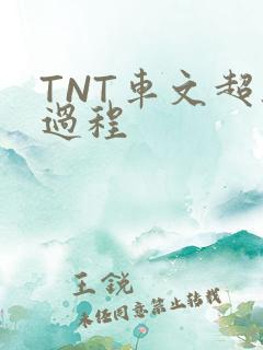 TNT车文超细过程