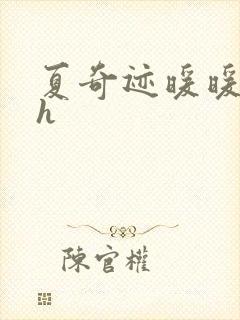 夏奇迹暖暖快穿h