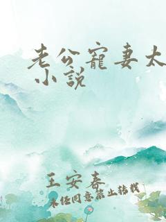 老公宠妻太甜蜜 小说