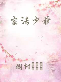 家法少爷