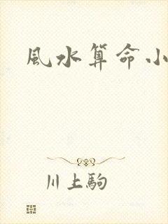 风水算命小说