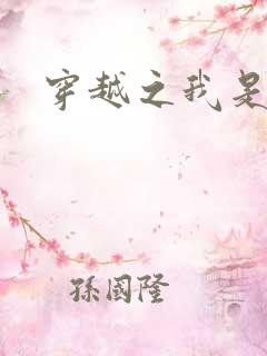 穿越之我是华筝