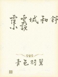 霍云城和舒情的小说