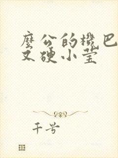 么公的机巴又粗又硬小莹