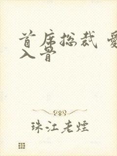 首席总裁 爱你入骨