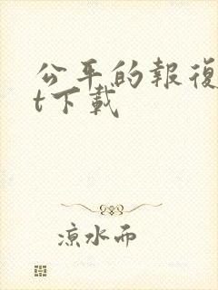 公平的报复txt下载