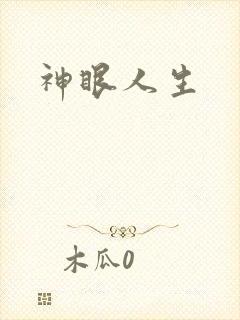 神眼人生