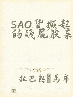 SAO货撅起你的贱屁股来