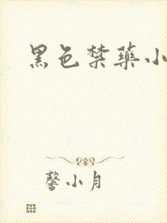 黑色禁药小说