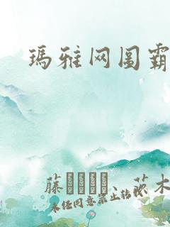 玛雅网图霸天下