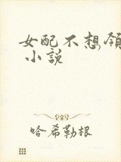 女配不想领便当 小说