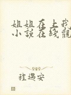 姐姐在上我在下小说在线观看