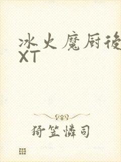 冰火魔厨后记TXT