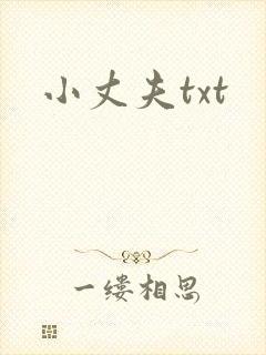 小丈夫txt