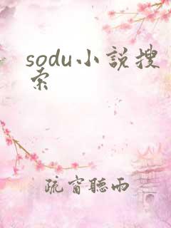 sodu小说搜索