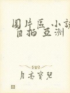 图片区 小说区 自拍 亚洲