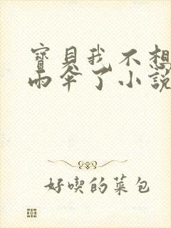 宝贝我不想带小雨伞了小说