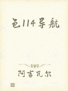色114导航