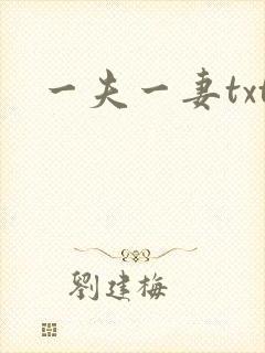 一夫一妻txt