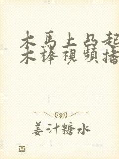 木马上凸起电动木棒视频播放