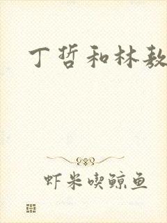 丁哲和林敖雷