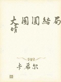 大团圆结局苏玉晴