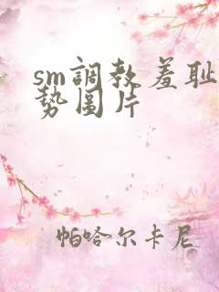 sm调教羞耻姿势图片