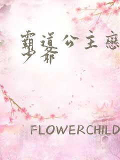 霸道公主恋上拽少爷