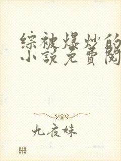 综被爆炒的日常小说免费阅读