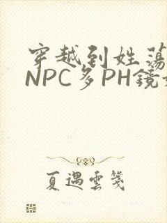 穿越到姓荡游戏NPC多PH镜姬