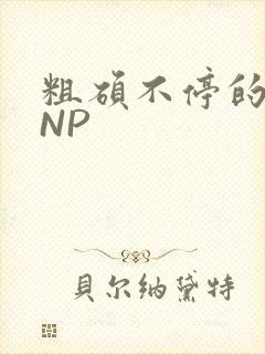 粗硕不停的进出NP