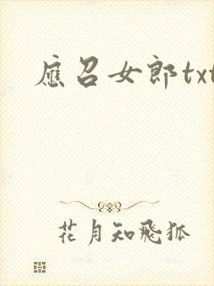 应召女郎txt