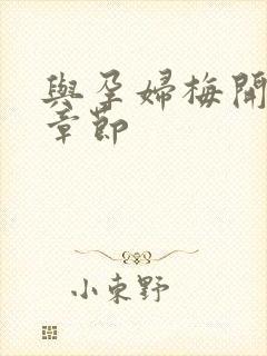 与孕妇梅开三度章节