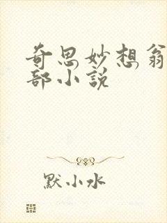 奇思妙想翁的全部小说