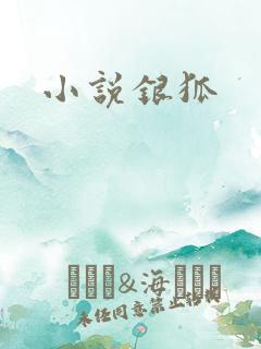小说银狐