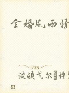 金婚风雨情下载