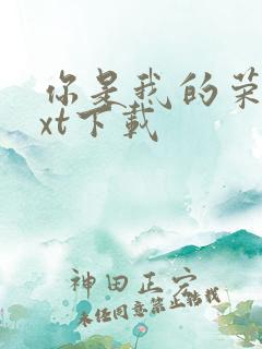 你是我的荣耀txt下载