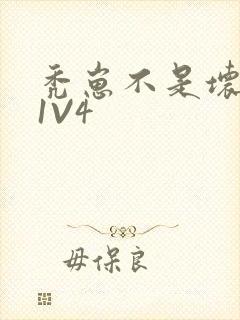 秃崽不是坏女人1V4