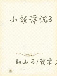 小说浮沉3