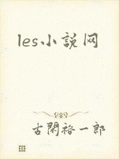 les小说网