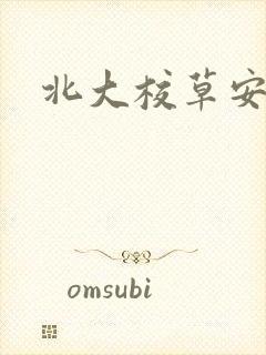 北大校草安允泽